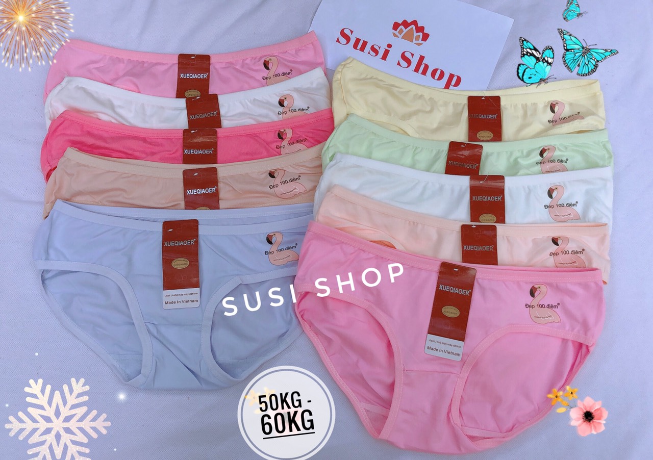 Bộ 10 Quần lót cotton nữ mềm mịn họa tiết thiên nga điểm 10 ngộ nghỉnh, đáng yêu, size 45-60kg (No.228)