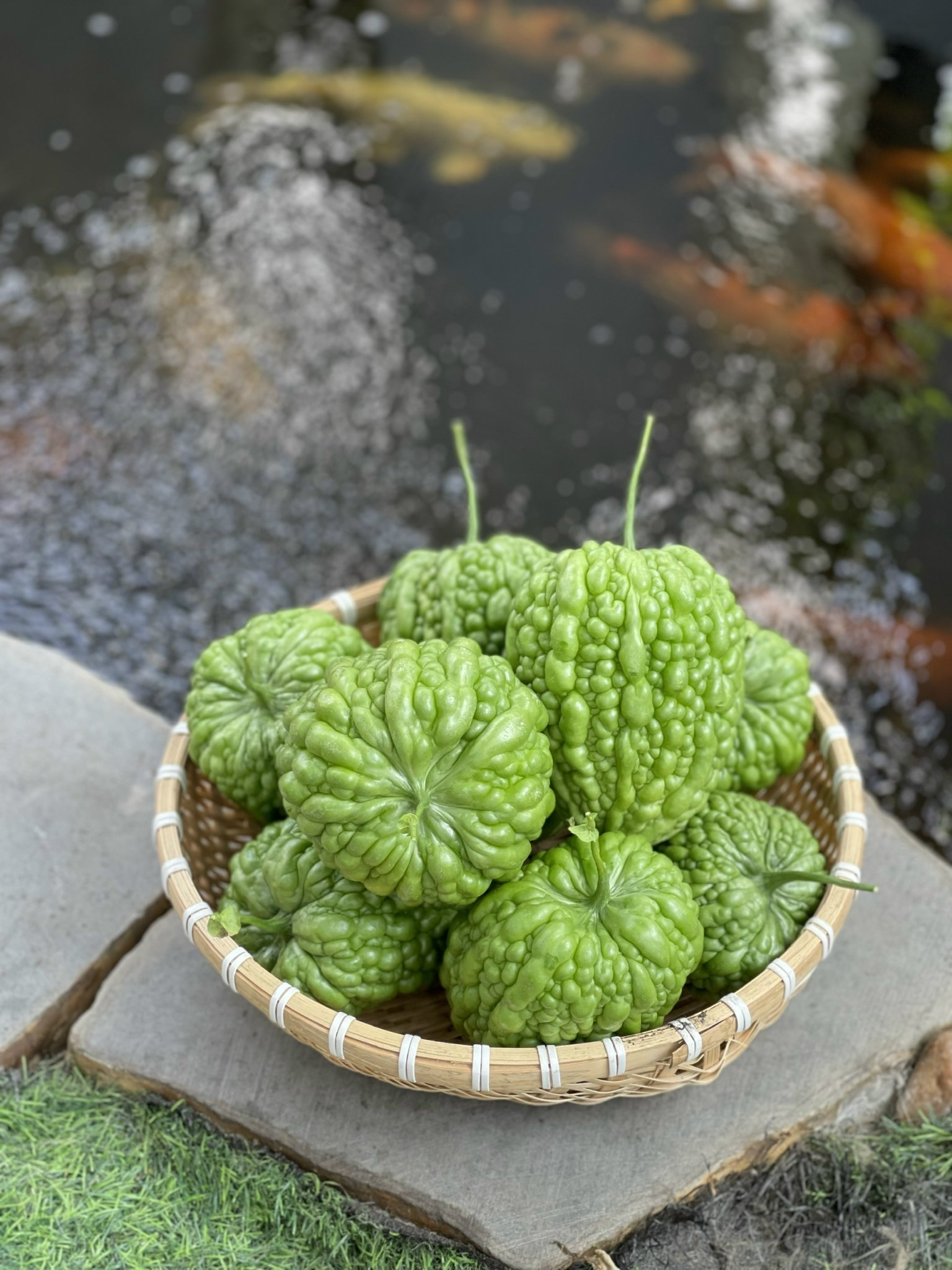 Phân trùn quế nguyên chất 10kg Lavamix