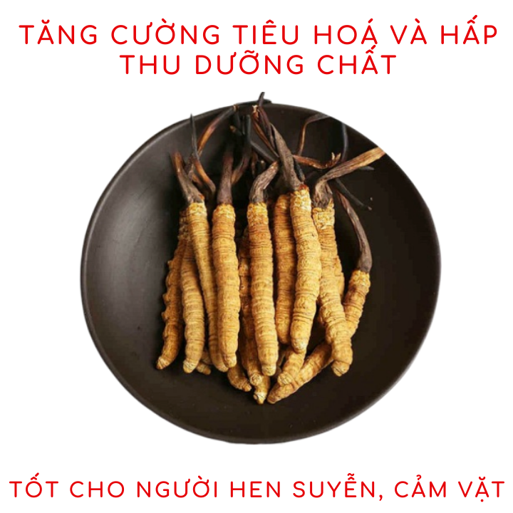 (SỈ TỪ 10 HỘP) 60 chai Nước Đông Trùng Hạ Thảo Hàn Quốc