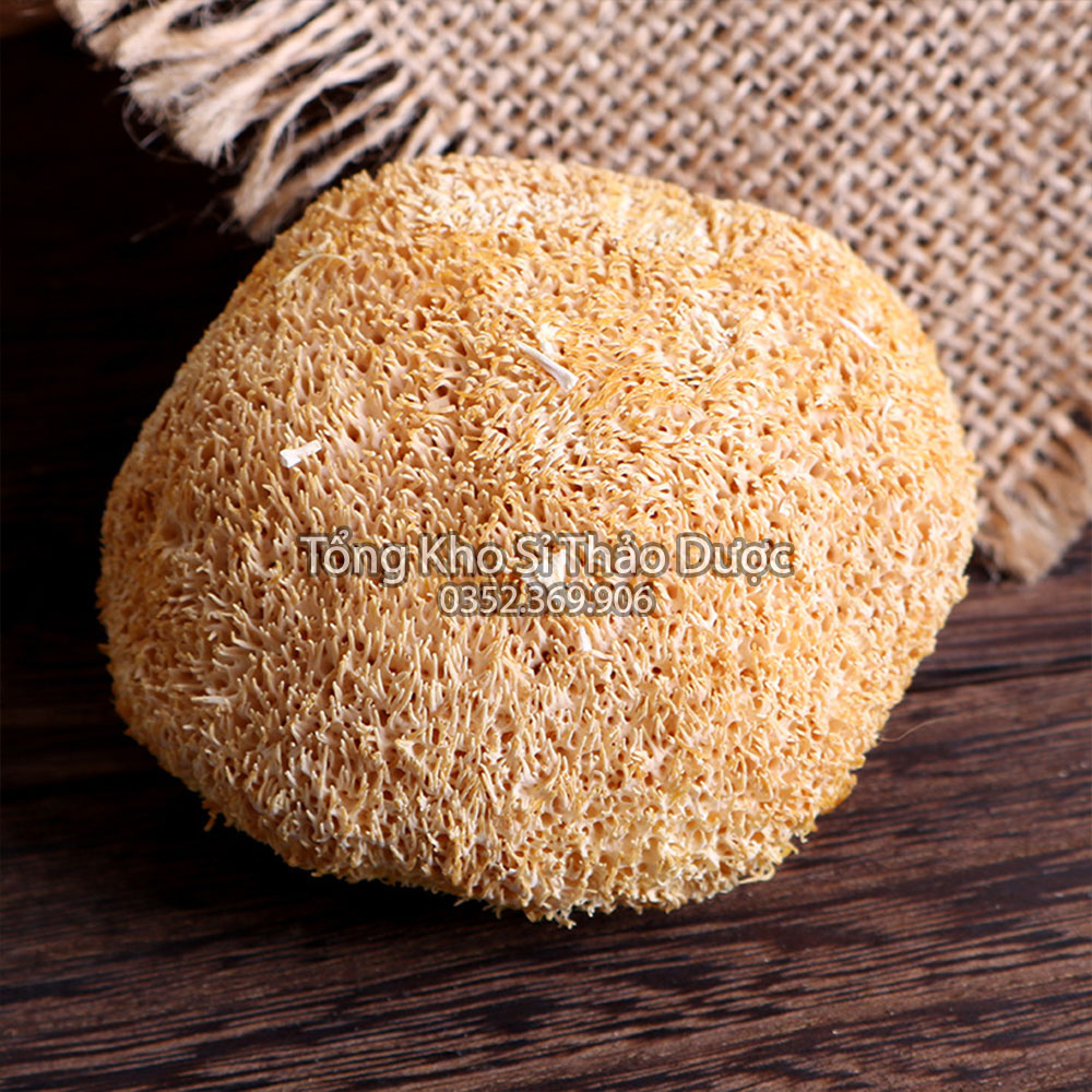 Nấm hầu thủ 500g ( Nấm đầu khỉ hữu cơ, tốt cho tiêu hóa)