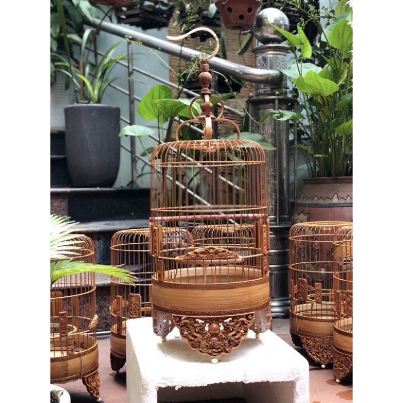 Lồng khuyên đục chân full phụ kiện