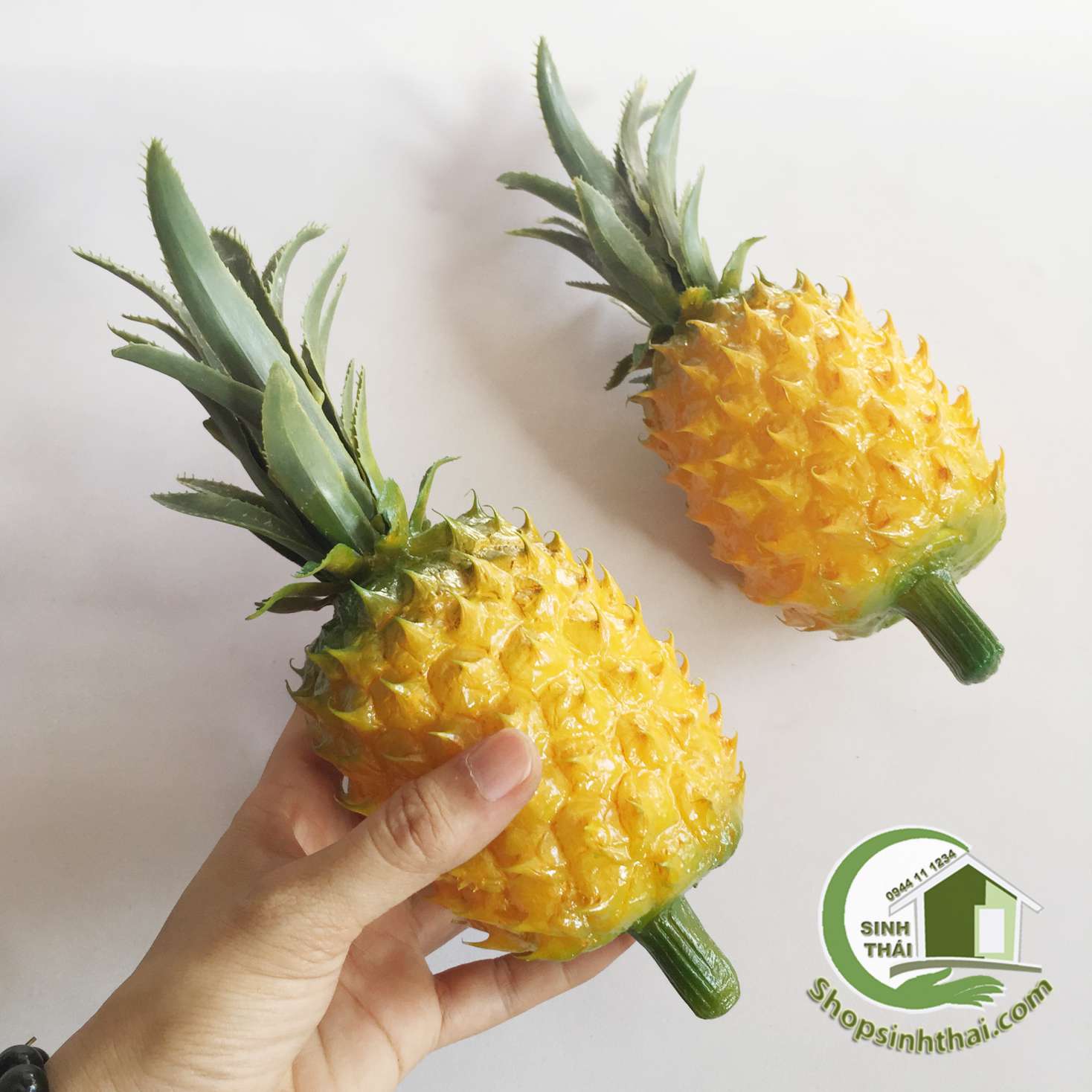 [HCM]Trái khóm trái thơm quả dứa giả màu vàng