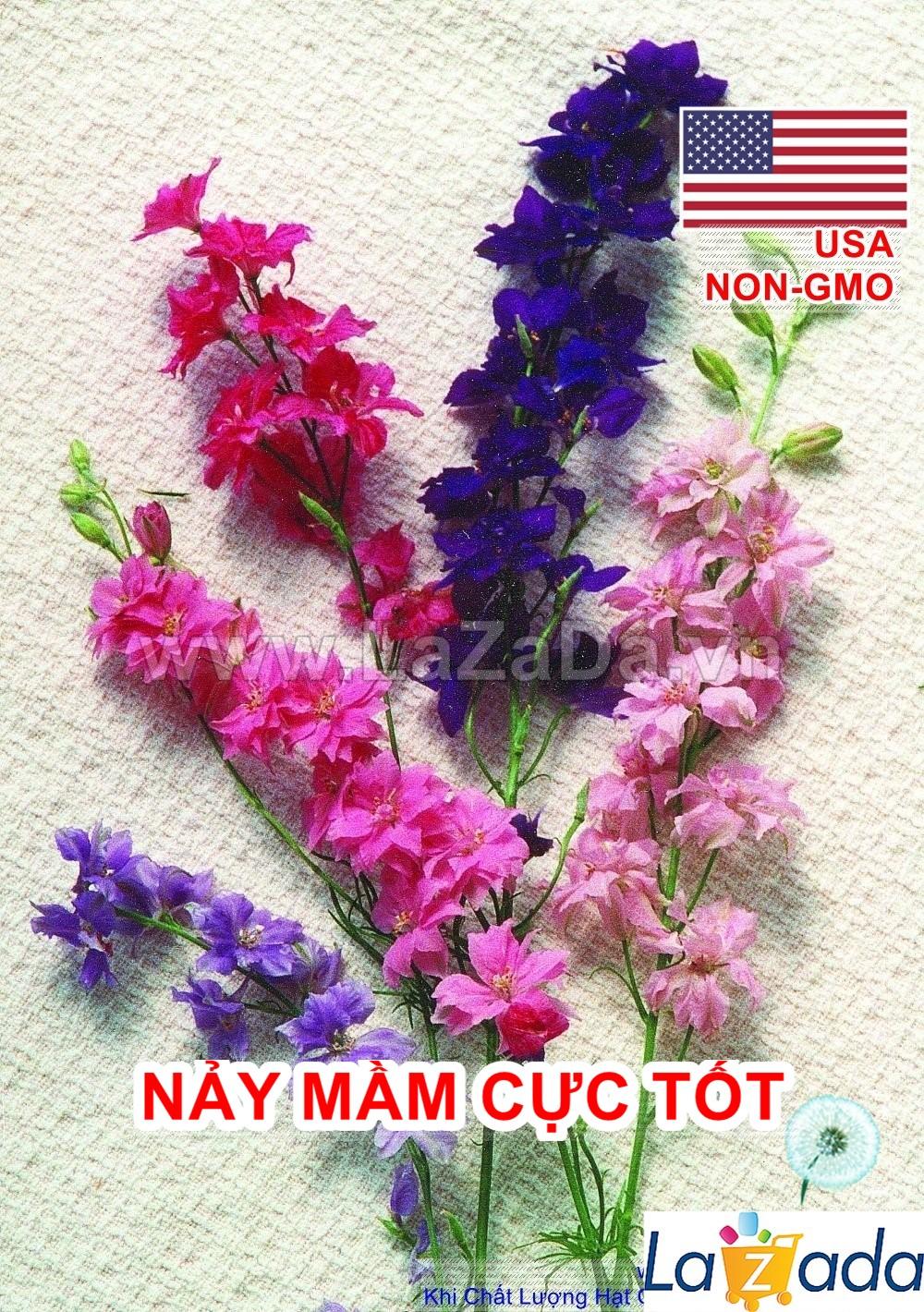50h Hạt Giống Hoa Phi Yến Mix Màu (TLB3| -KD: B15*V45*M177)