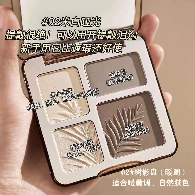 Bảng Phấn Bắt Sáng / Tạo Khối 3D Chất Lượng Cao DANA