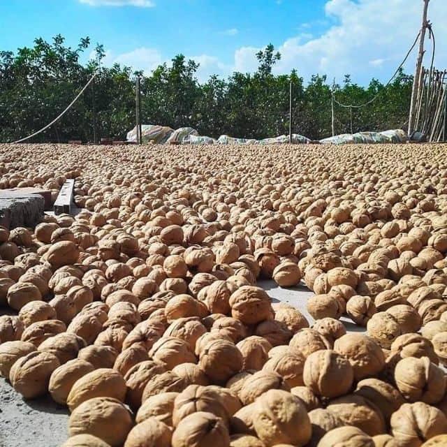Quả óc chó cao cấp 1kg