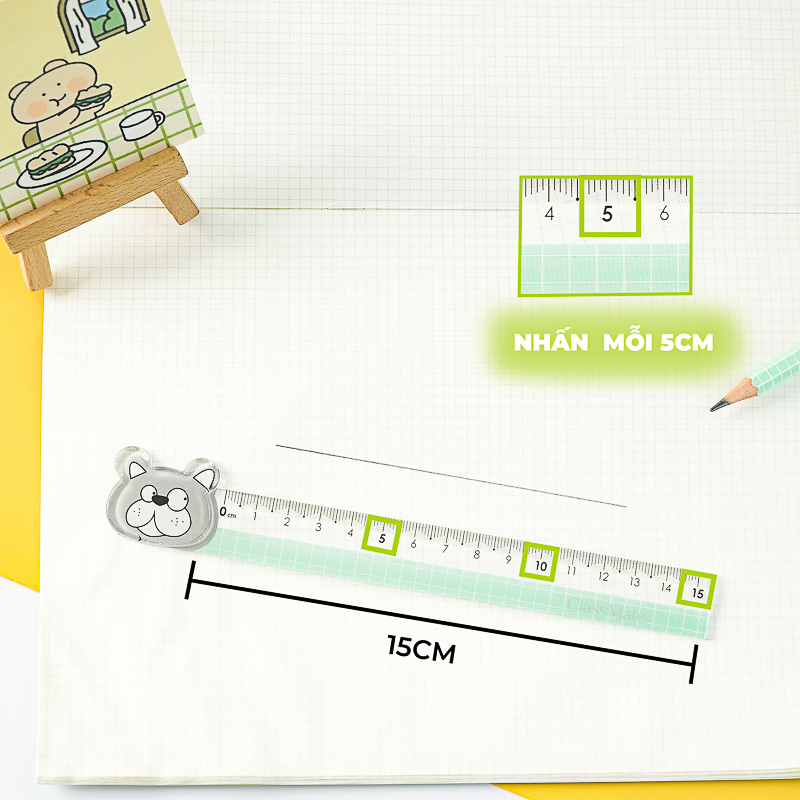 Thước Kẻ Nhựa CLASSMATE Cho Học Sinh 15cm RL04-PE