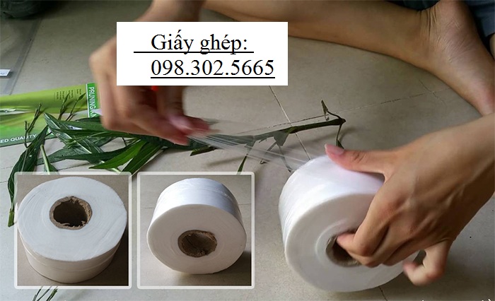 Giấy ghép cây nilong tự hủy - khổ 3cm