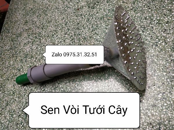 Sen vòi tưới hoa cây