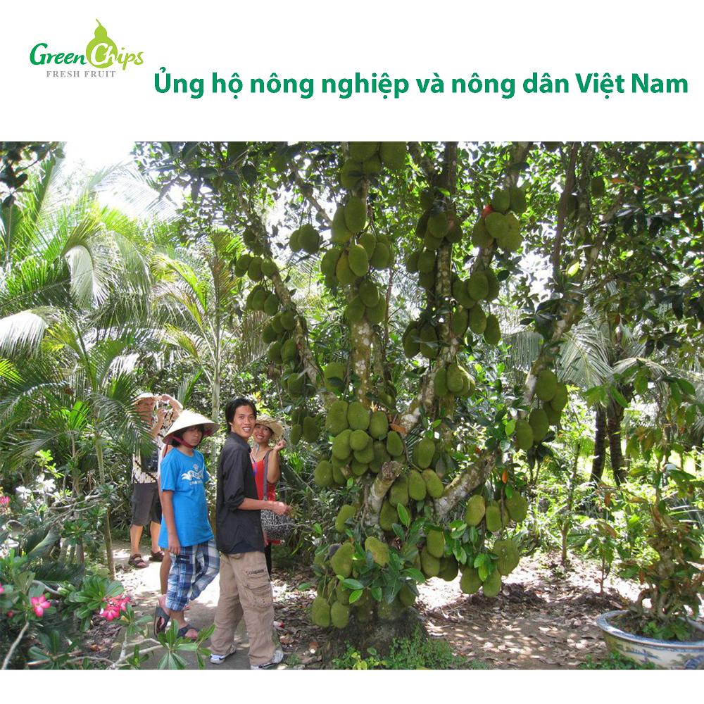 Mít sấy 210 gram  - Green Chips