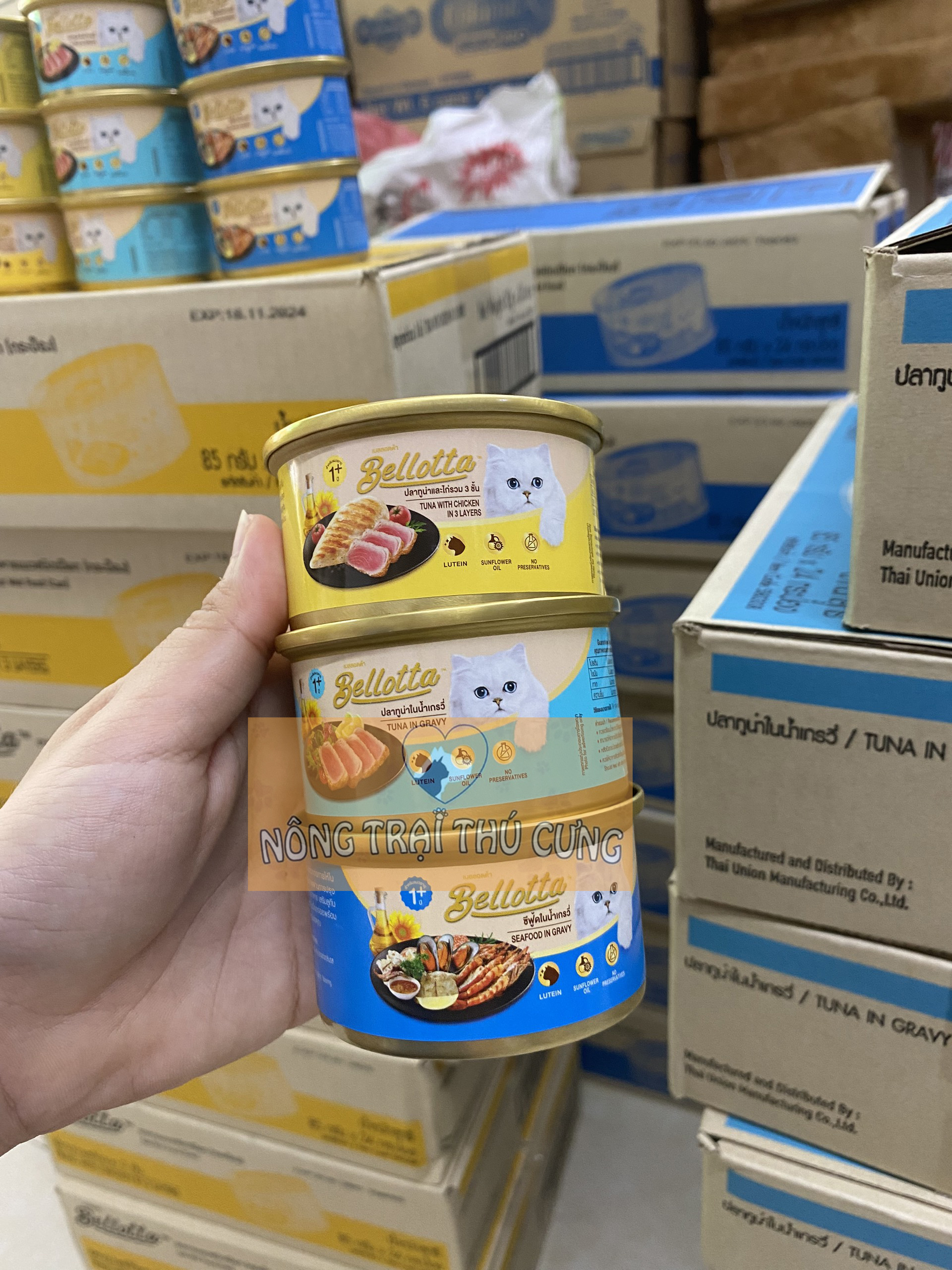 Pate cho mèo bellotta lon 85g -