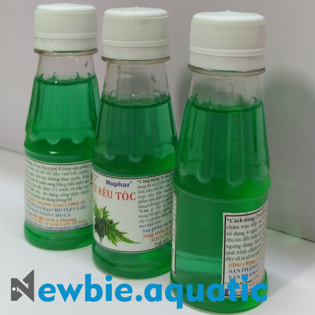 Diệt rêu tóc Nuphar cho hồ thủy sinh