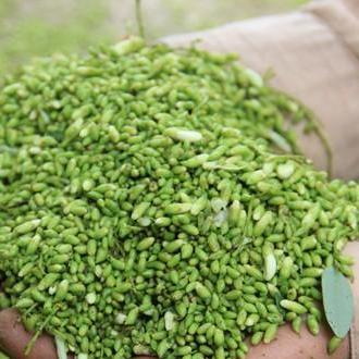 [HCM]Trà Hoa hòe 500gr