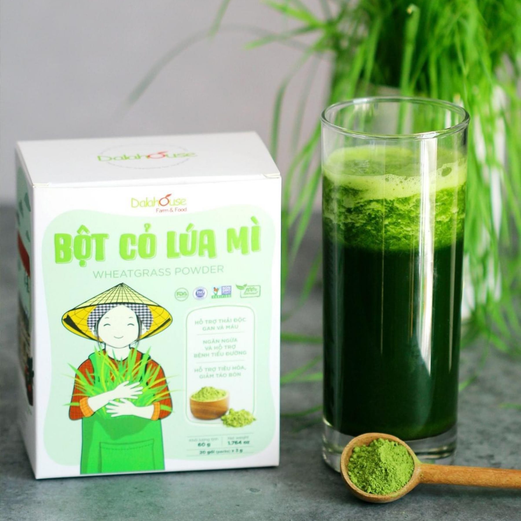 Bột Cỏ Lúa Mì DalaHouse 60 gram ( 100% Natural Wheatgrass Powder)