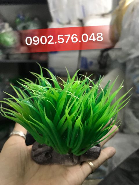 [HCM]Cây nhựa trang trí hồ cá nhỏ