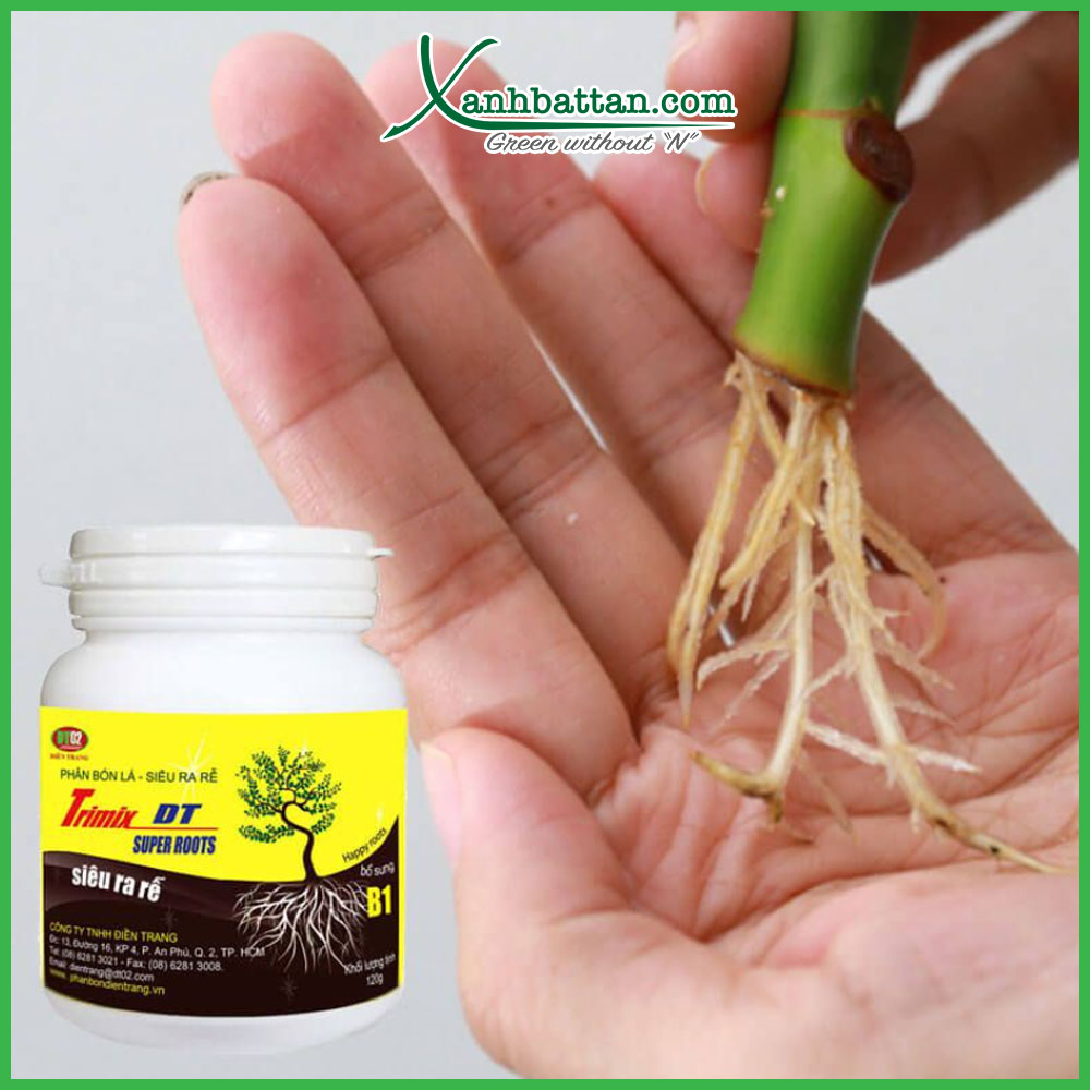 Phân Bón Lá Siêu Kích Rễ Super Roots Trimix DT
