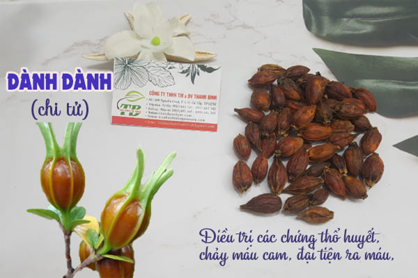 Quả Dành Dành ( Chi Tử ) Khô 1KG - Đông Y Thanh Bình