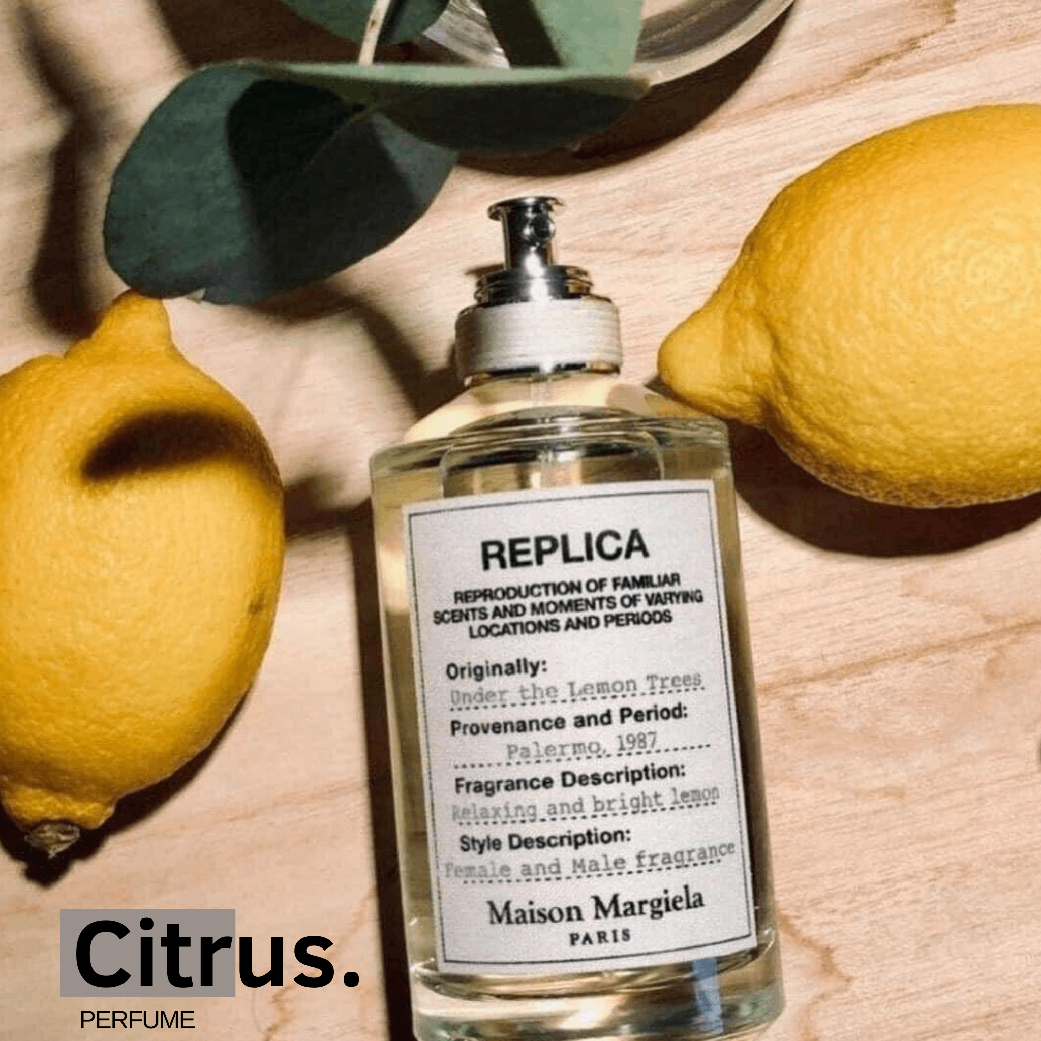 10ml Rep.lica Under the Lemon Tree | Nước hoa unisex | Citrus Perfume