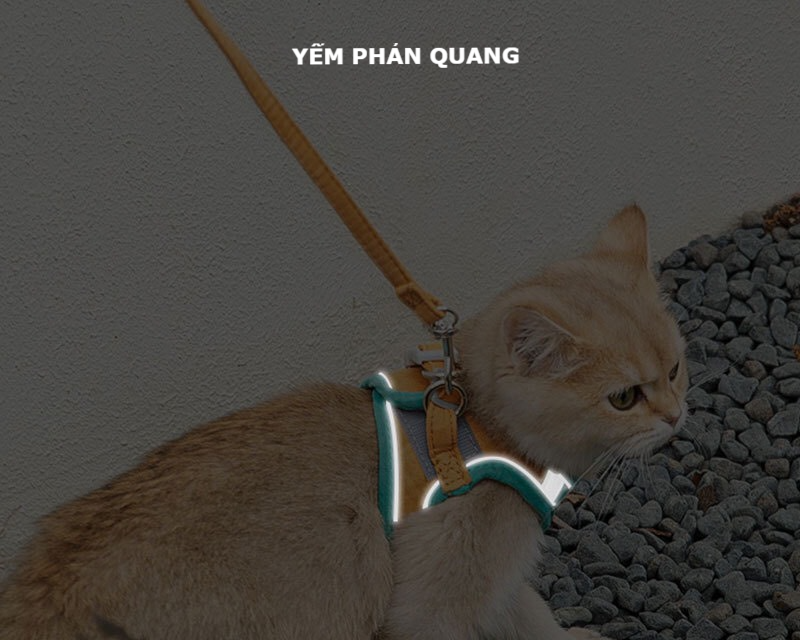 Dây dắt chó mèo kèm yếm chống đột quỵ [ Mookipet ]