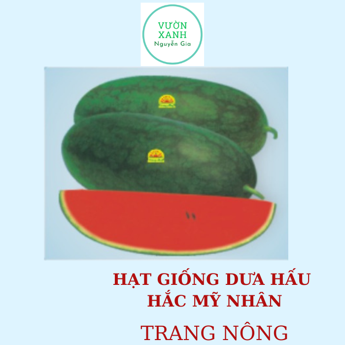 Hạt Giống Dưa Hấu Hắc Mỹ Nhân