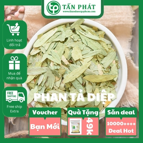 Lá phan tả diệp khô 1kg - Hàng sạch chất lượng cao hỗ trợ cải thiện tình trạng táo bón hiệu quả - Thảo Dược Tấn Phát
