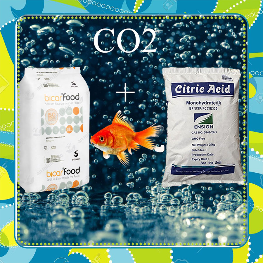 Nguyên liệu chế CO2 cho bể cá (1kg baking soda và 1kg bột chanh axit citric) nhập khẩu giá tốt