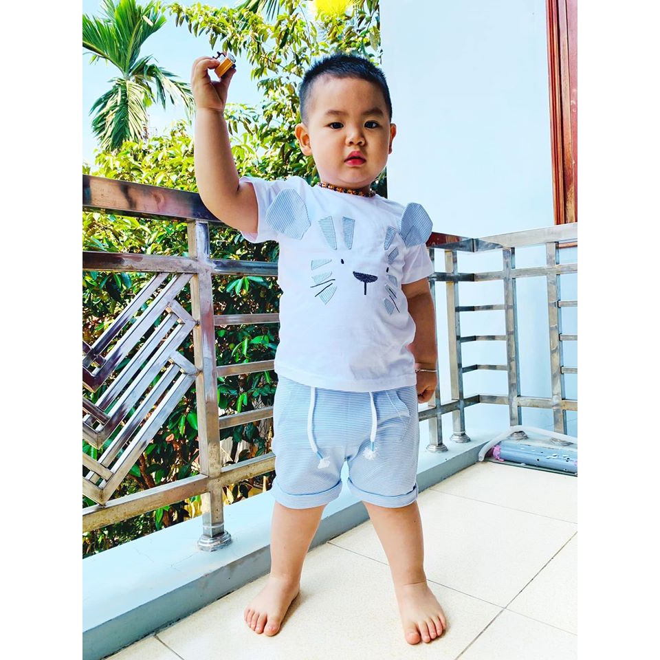Bộ Next bé trai (Size từ 1-6y)