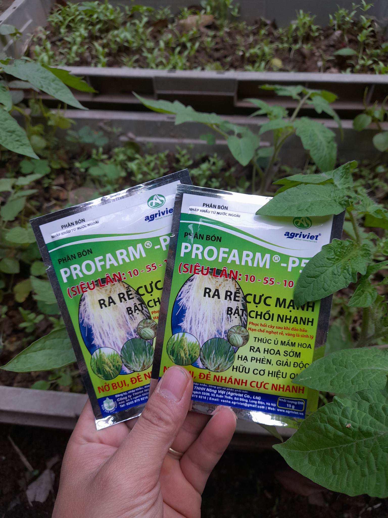 Phân Bón PROFARM kích thích cây tạo rễ