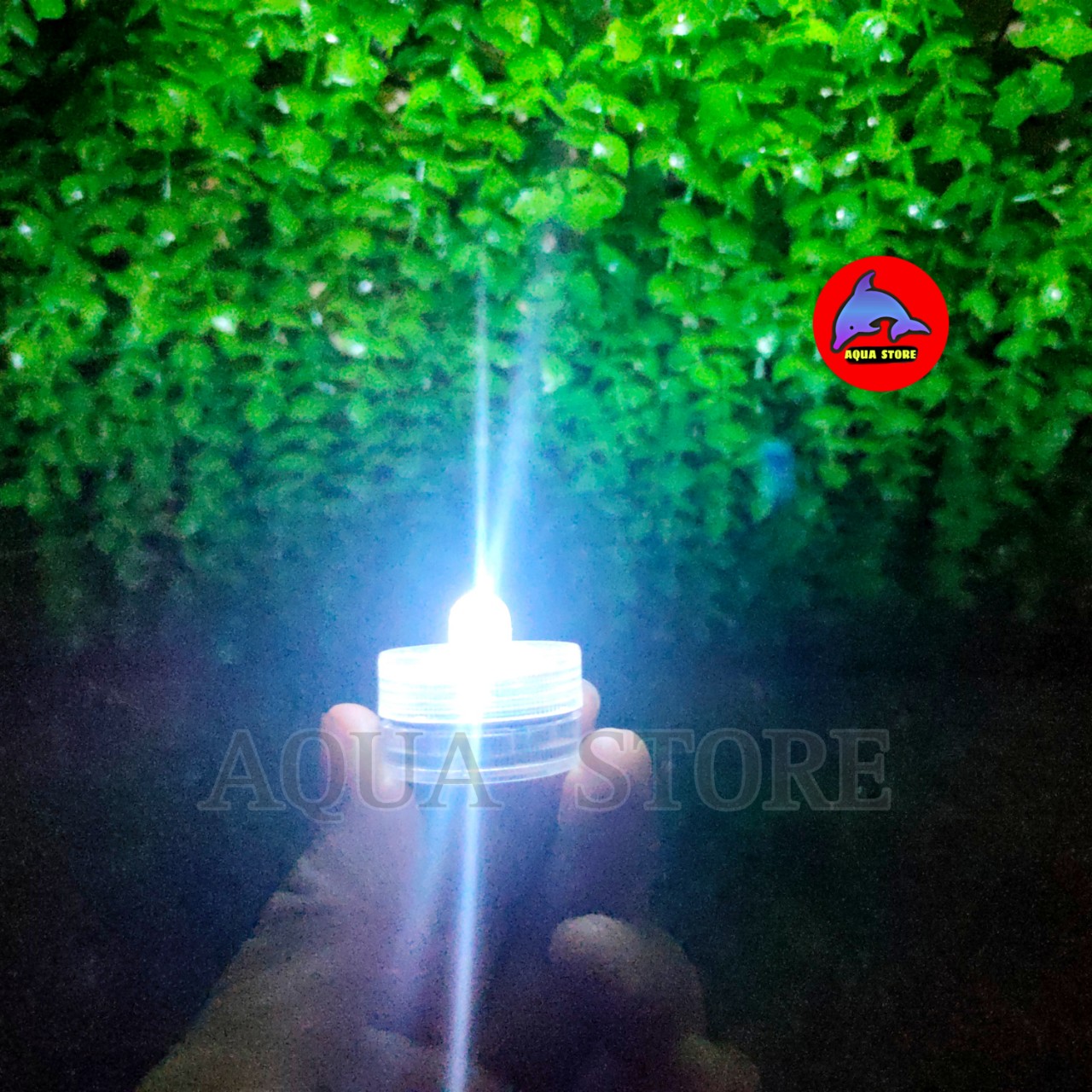 Đèn Led mini dùng Pin - đèn trang trí hồ cá tiểu cảnh
