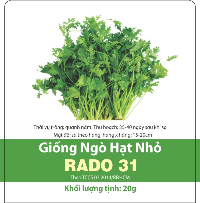 Hạt Giống Ngò Rí Rau Mùi (20gr)
