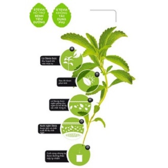 ĐƯỜNG ĂN KIÊNG Pure Via Stevia