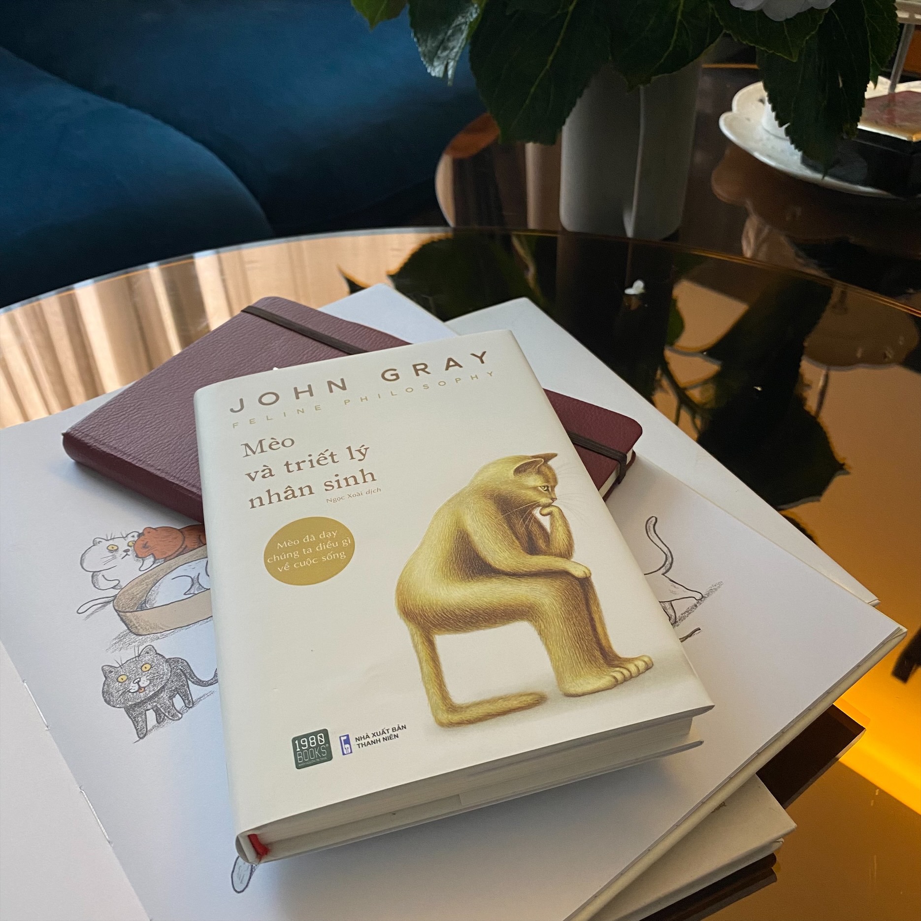 Mèo và triết lý nhân sinh - Tiến sĩ John Gray (1980BOOKS HCM)