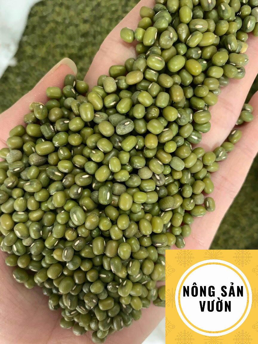 Đậu xanh hột tây ninh