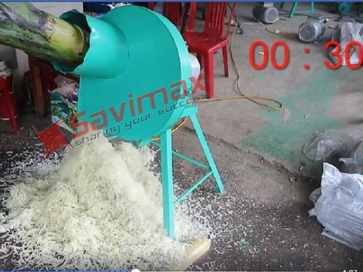 Máy thái chuối siêu mịn tại Bến tre- Máy băm chuối mịn 1.5kw siêu khỏe