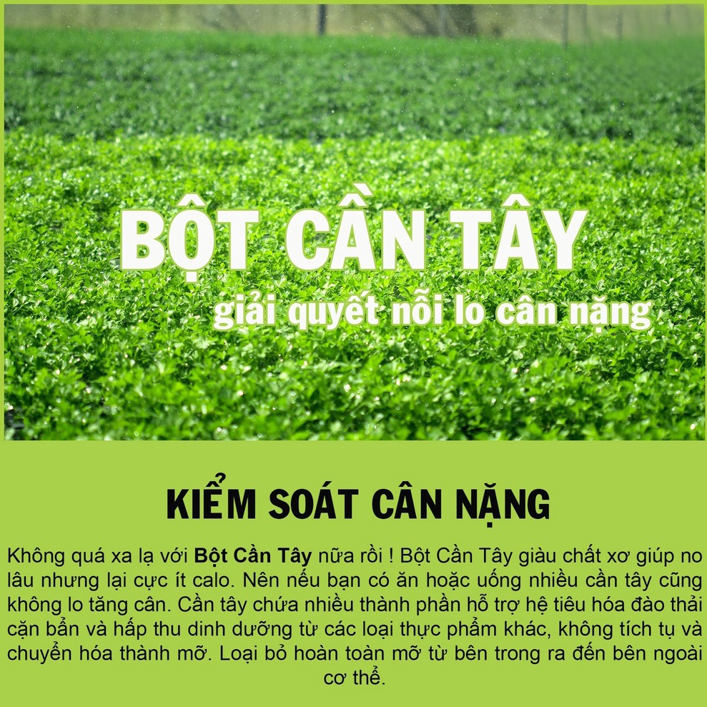 Bột cần tây sấy lạnh 100g - tấn phát
