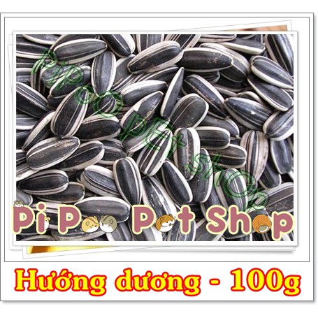 Hướng dương hạt lớn gói 100g cho Hamster và thú cưng
