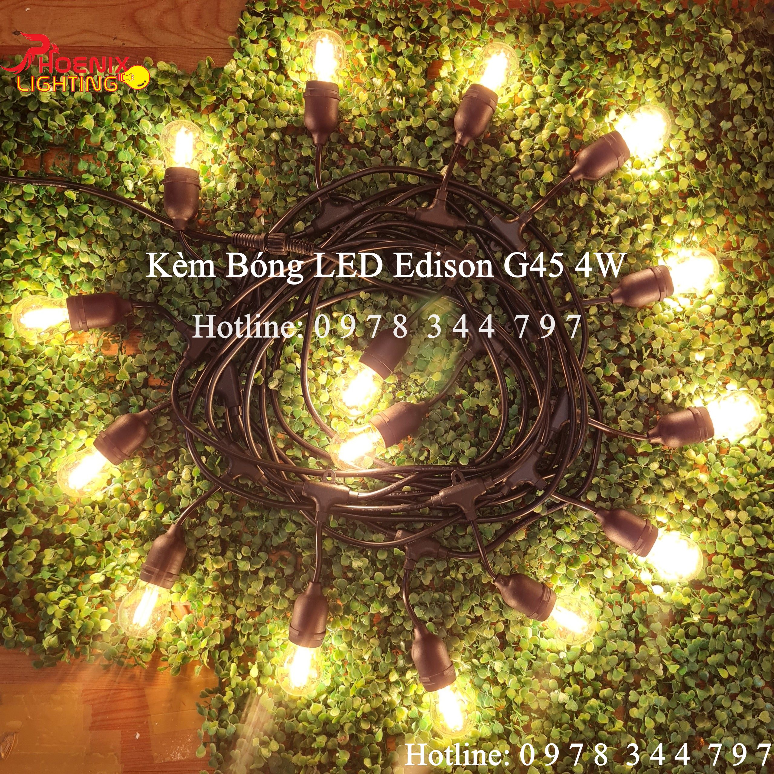 Dây đèn kín nước thả ngoài trời 10 mét 20 đui - E27