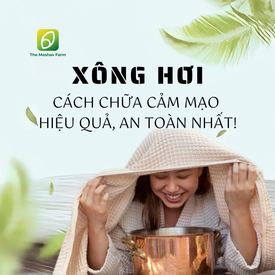 LÁ XÔNG GIẢI CẢM