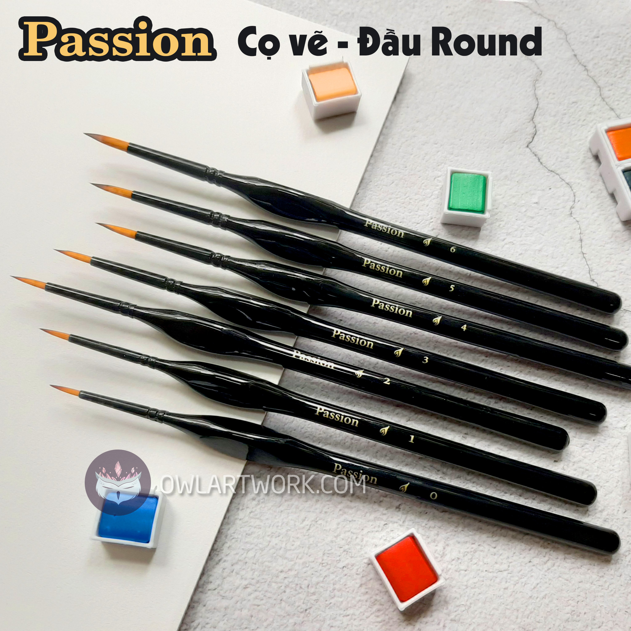 [HCM]Cọ Vẽ Màu Nước Passion Hàn Quốc - Đầu tròn (Round)