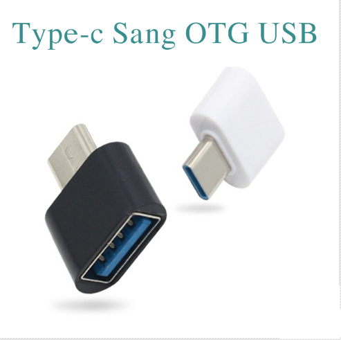 [Hcm]Short USB Otg to Type-C Converter