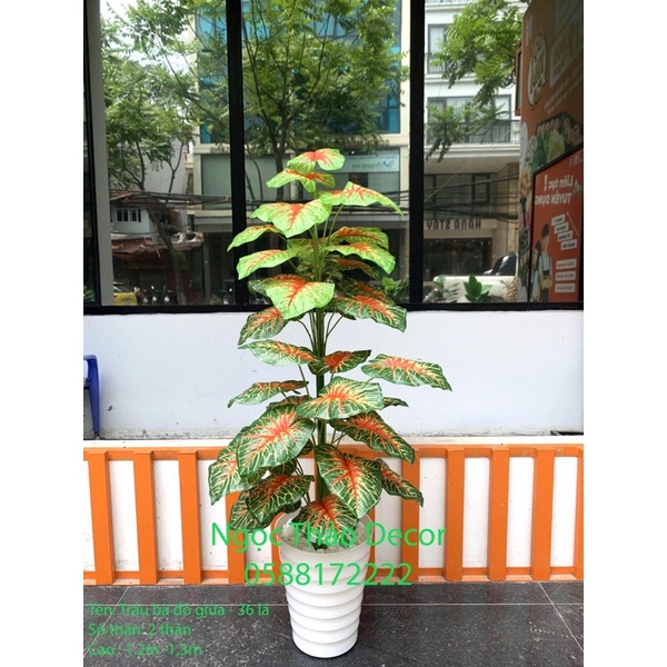 Cây trầu bà đỏ giả 1m2 - cây giả trang trí