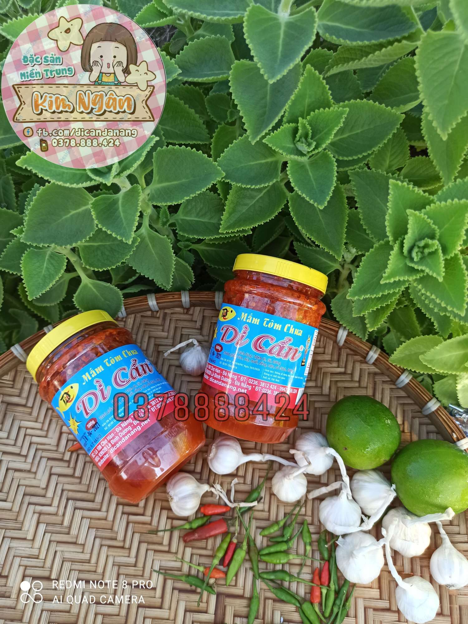 [HCM]2 Hủ Mắm Tôm Chua Dì Cẩn 500g