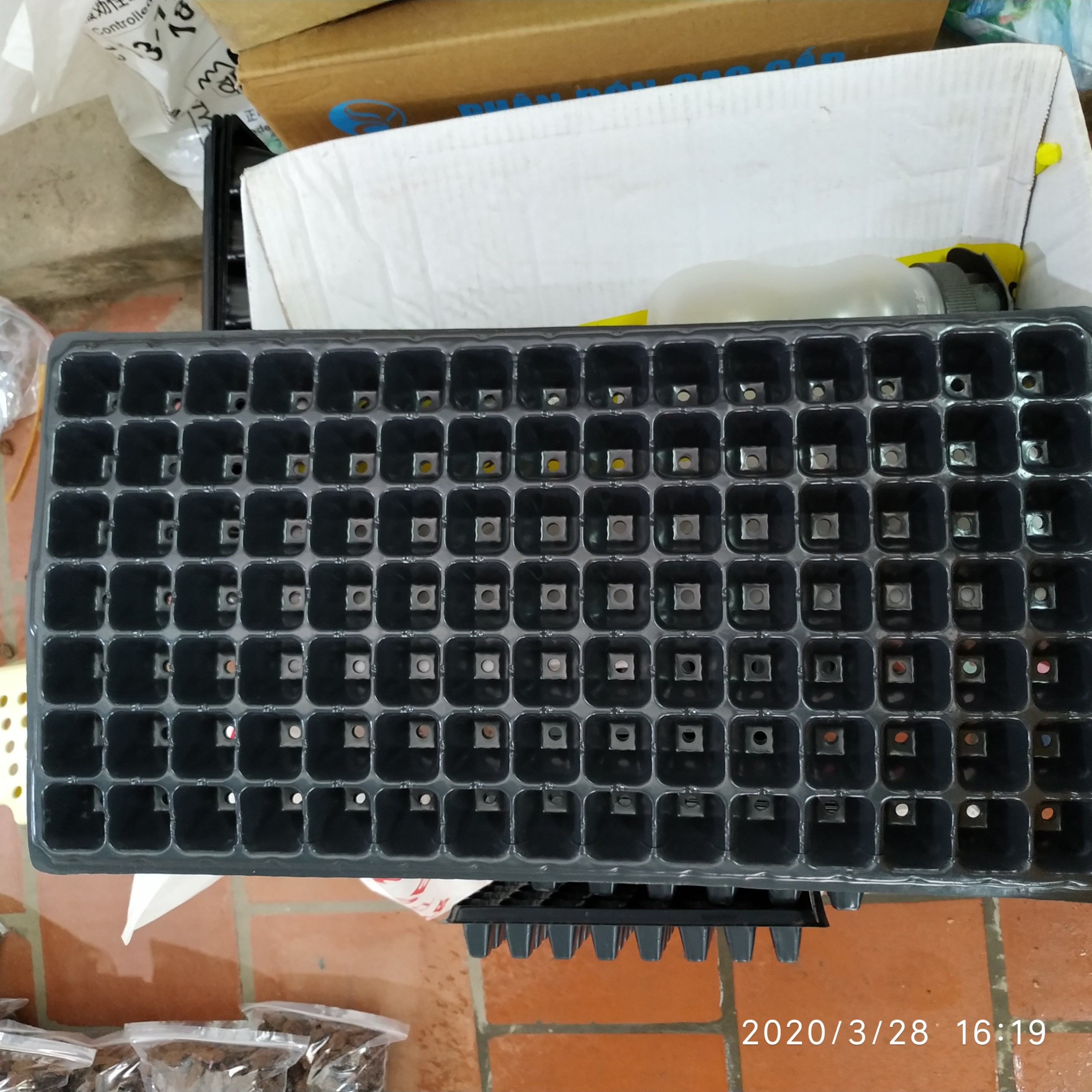 Khay nhưa uơm hạt giông cây con