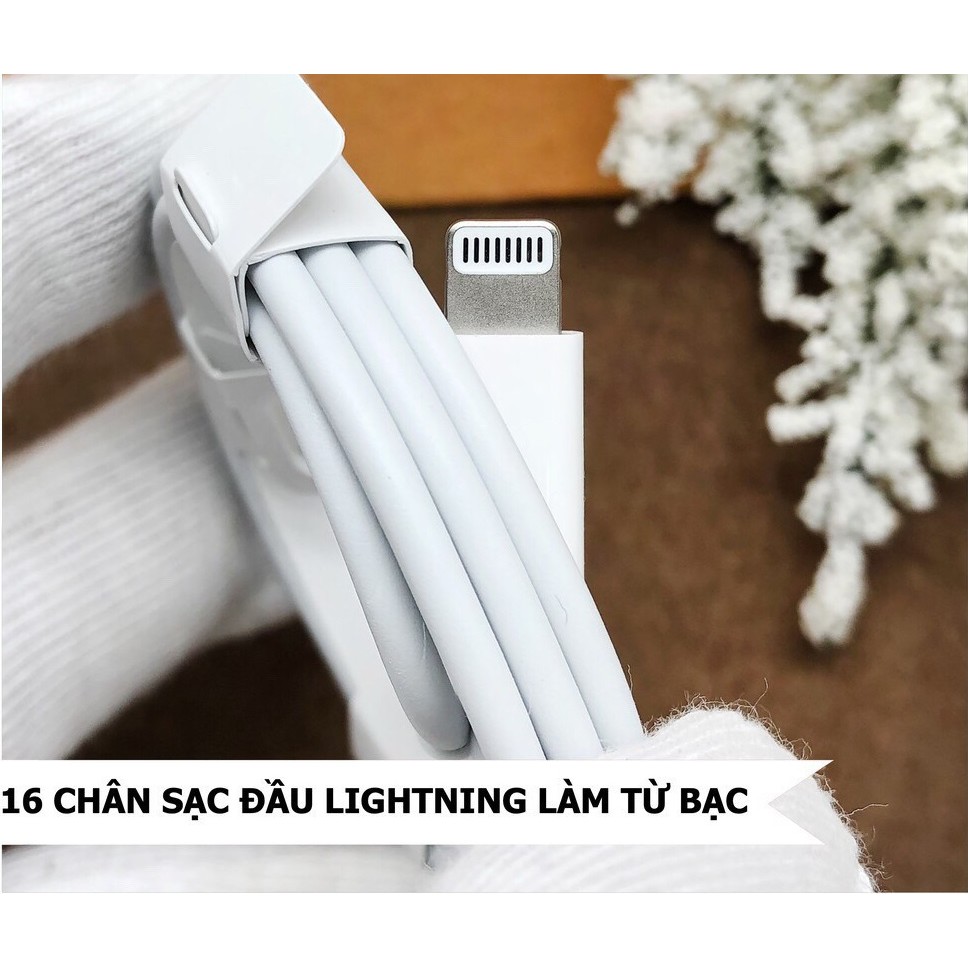 Dây Sạc Iphone Cáp Sạc Nhanh Type C To Lightning Iphone 11 Pro Max Zin Máy ( Full Box )