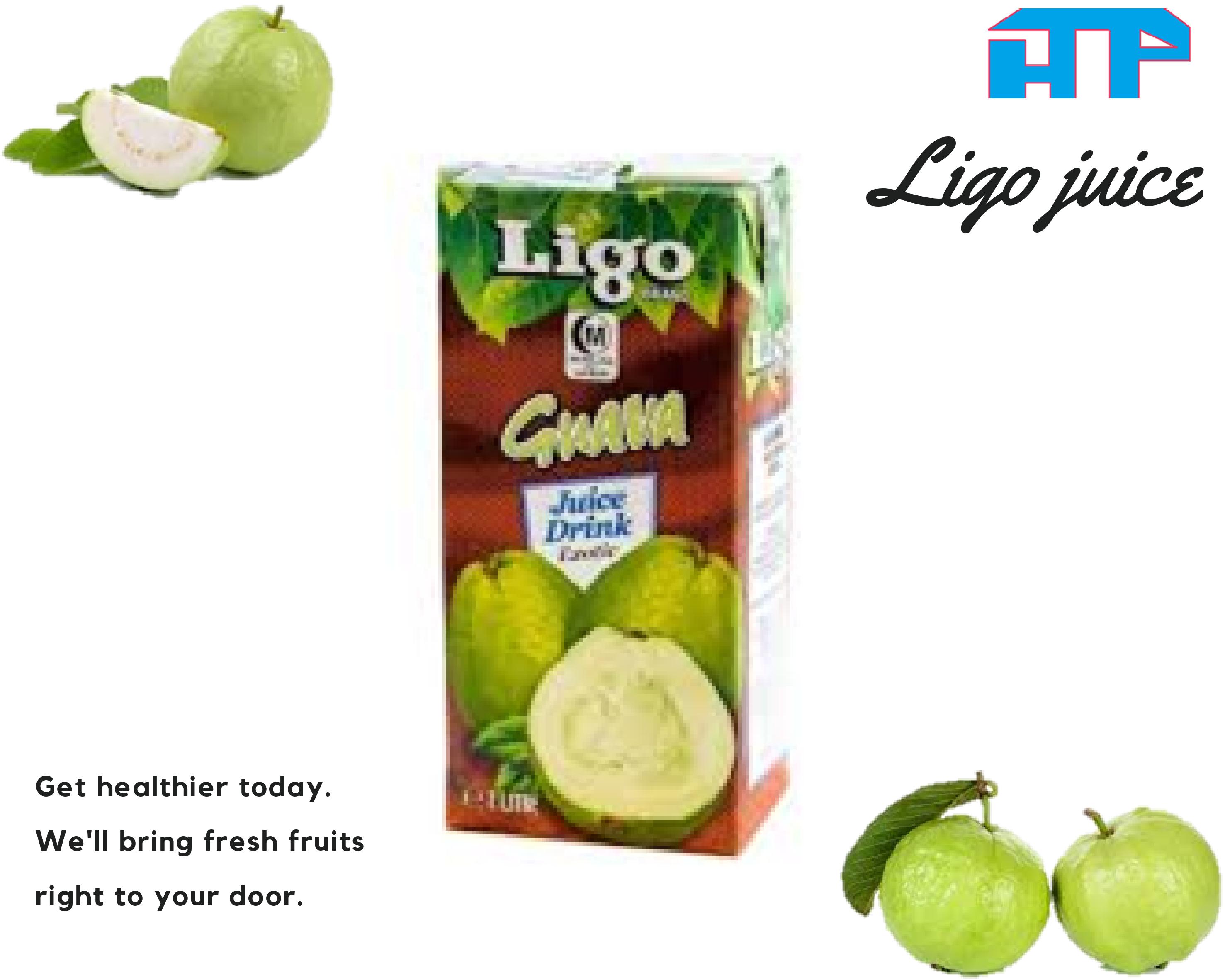 Nước Ligo Ổi 1L