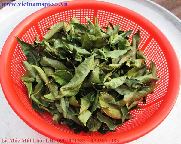 Lá Móc Mật khô 100gram