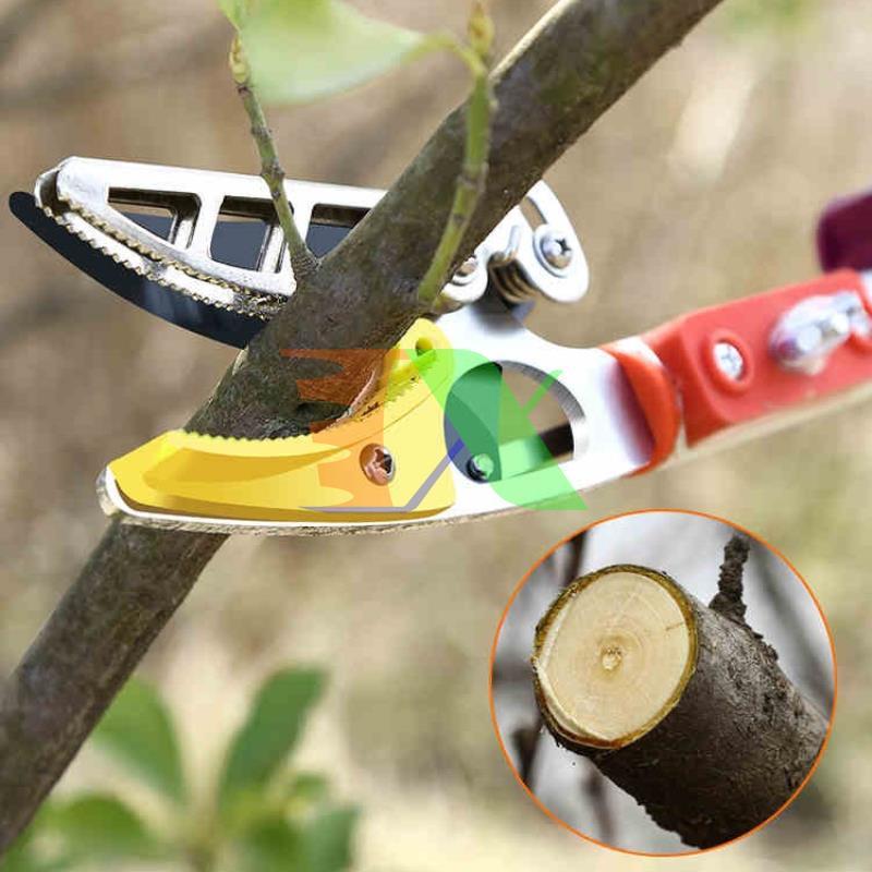 Tools fruit picking hq-3m, pickets picking fabric, pickets picking fruit label, Bird fruit picking, cutting fruit on high with clip holder (3m), together with the saw blade, pruning shears branch on high