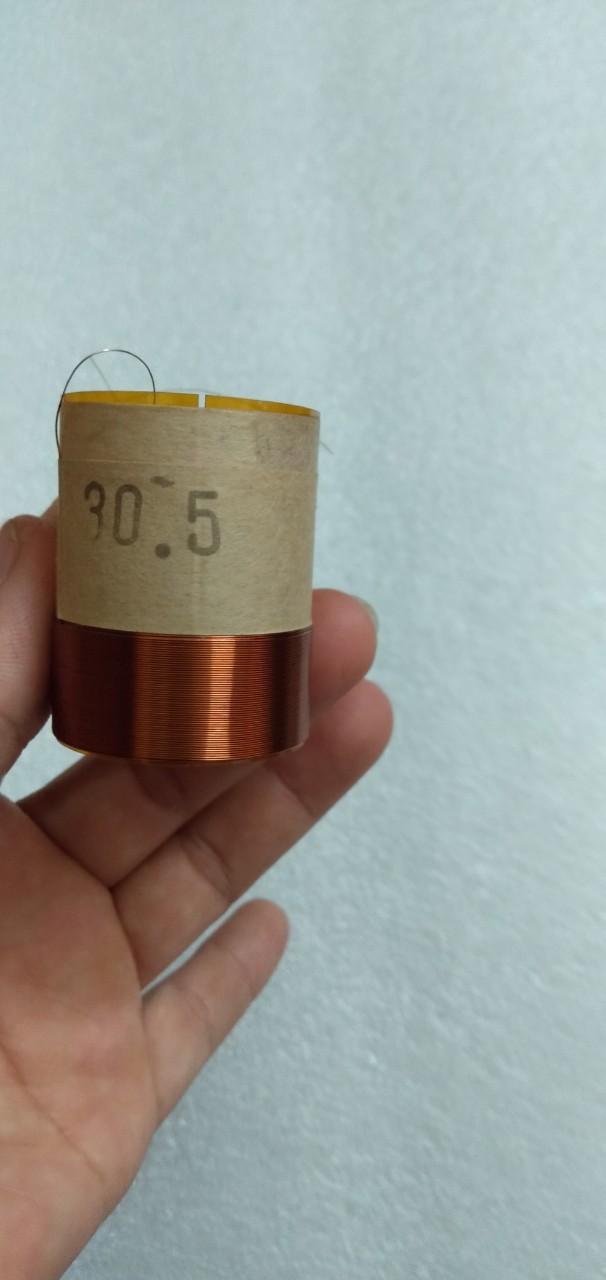 côn loa 30.5 2 lớp - Điện Tử Nhật Anh