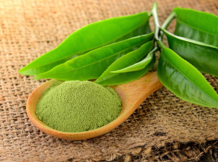 [GÓI LỚN 500g – GREEN TEA] BỘT TRÀ XANH FUNMATSUCHA [Japan] YANOEN Green Tea Powder (lsn-hk)