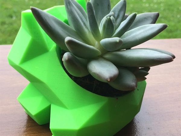 Chậu cây pokemon siêu dễ thương - Cute Low Poly Bulbasaur planter