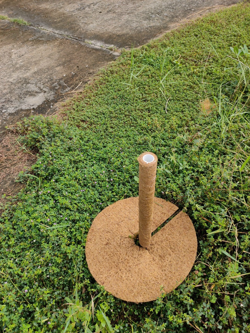10 Tấm chắn cỏ xơ dừa 37cmx37cmx1cm